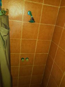 a shower with a tile wall with a shower head at Carolyn's House in Caye Caulker +24 photos