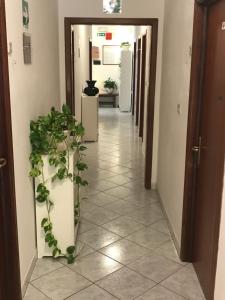 Fotografie z fotogalerie ubytování Hotel B&B Rispescia Grosseto v destinaci Rispescia