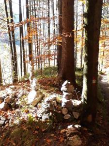 Fotografie z fotogalerie ubytování LunzFerien v destinaci Lunz am See