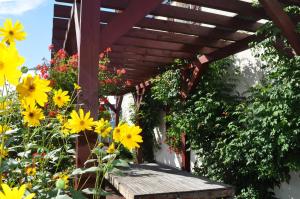 a wooden pergola with yellow flowers in a garden at Willa Marteczka in Rowy