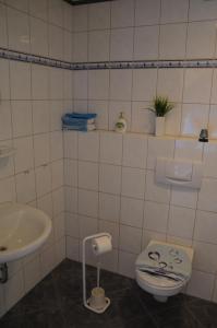 a bathroom with a toilet and a sink at Ferienwohnung Lenartz in Briedern