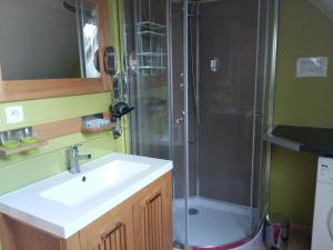 ein Bad mit einem Waschbecken und einer Dusche in der Unterkunft Appt-Gîte du Relais de Drugy in Saint-Riquier