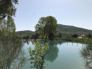 a large lake with trees and mountains in the background at B&B Masseria Cozzi in Lauria Inferiore +14 photos