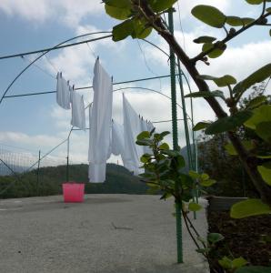 a bunch of white umbrellas hanging on a fence at B&B Masseria Cozzi in Lauria Inferiore