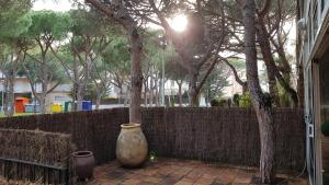Κήπος έξω από το VILLAS COSETTE - Villa Triana