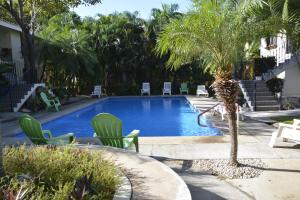 Πισίνα στο ή κοντά στο Coco Beach Home