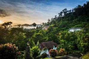 Landskap semula jadi dekat dengan vila ini