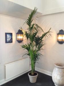 Fotografie z fotogalerie ubytování Munkebo Kro & Hotel v destinaci Munkebo