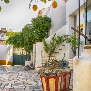 a courtyard with trees and oranges in a building at Vitória House in Évora