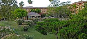 a garden in front of a building with trees and bushes at Yuma Inn & Suites in Yuma
