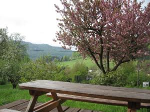 Paesaggio naturale nelle vicinanze dell'appartamento