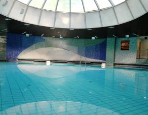 Πισίνα στο ή κοντά στο Medical and Spa Centre Merkur