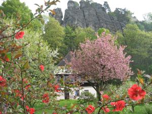 Giardino di Apartment Panteon Basecamp