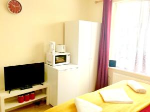 a small room with a tv and a microwave at Studio Apartment, Private Bathroom and Parking in Ilford