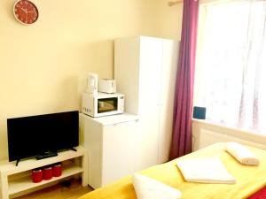 a small room with a tv and a microwave at London Luxury Apartment, Private Bathroom in Ilford