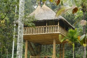 a tree house in the middle of the forest at Kalidasa Tree House and Villa,Wayanad in Chegāt