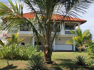 尼拉瓦利Ypsylon Resort Ostküste的一栋前面有棕榈树的房子