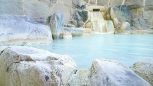 那須町にあるホテルラフォーレ那須の動物園の岩の水のプール