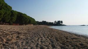 a sandy beach with trees and the water at Appartamenti Quilici in Santa Maria Navarrese