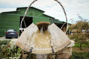 una fuente de agua frente a un edificio verde en Apartment Čarolija en Slakovec