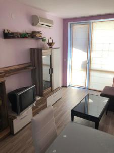 TV a/nebo společenská místnost v ubytování Tatyana Apartment