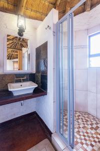 a bathroom with a sink and a glass shower at Grootberg Lodge in Damaraland