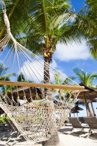 a hammock on a beach with a palm tree at Zilwa Attitude in Calodyne