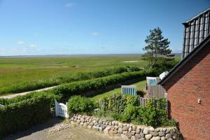 Naturlandskabet i nærheden af feriehuset