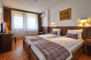 Postel nebo postele na pokoji v ubytování Villa Arbanashki Han