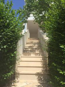 a stairway leading up to a building with green trees at Apartments Milica in Mirce +10 photos