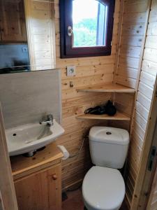 La petite salle de bains est pourvue de toilettes et d'un lavabo. dans l'établissement Roulotte Comtoise à Strasbourg, à Strasbourg
