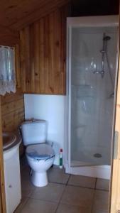 La salle de bains est pourvue d'une douche et de toilettes blanches. dans l'établissement Chalet des Grands Prés, à Gercourt-et-Drillancourt