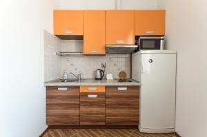 プラハにあるKubelikova APARTMEETの小さなキッチン(冷蔵庫、木製キャビネット付)