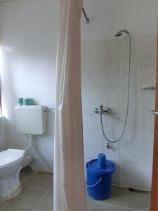 a bathroom with a shower and a toilet and a tub at Matema Lake Shore Resort in Matema Beach