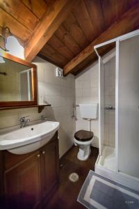 ein Bad mit einem WC, einem Waschbecken und einer Dusche in der Unterkunft Guesthouse Mavrodimos in Eptalofos