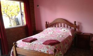 Schlafzimmer mit einem Bett mit rosa Wänden und einem Fenster in der Unterkunft Lau-Fer Apartamentos in Los Antiguos