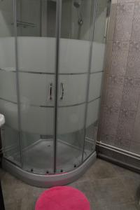 ノヴォシビルスクにあるАпартаменты на Немировича-Данченкоのバスルーム(ピンクの敷物が敷かれたガラス張りのシャワー付)