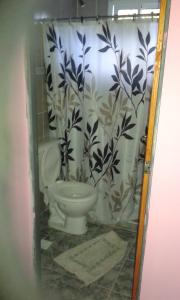 a bathroom with a toilet and a shower curtain at Lau-Fer Apartamentos in Los Antiguos