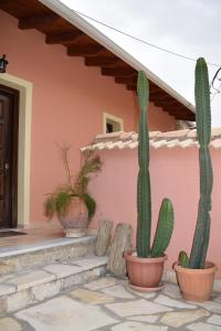 a group of cactuses in front of a house at Epavli Veneti in Parga