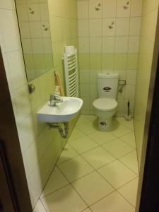 a bathroom with a toilet and a sink at Apartament Górski Lux in Krynica Zdrój