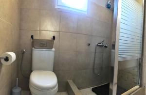 La petite salle de bains est pourvue d'une douche et de toilettes. dans l'établissement Sunshine's house near the beach, 10 min from the airport, à Artemi