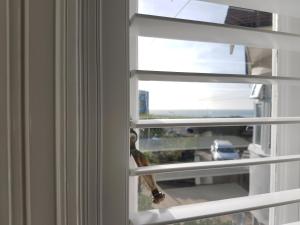a bird is looking out of a window at Beach Lodge in Bournemouth