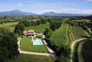 - une vue aérienne sur un domaine avec une piscine dans un vignoble dans l'établissement Villa Gasco With Pool, à Lazise