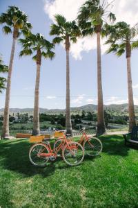 deux vélos garés dans l'herbe devant les palmiers dans l'établissement Skyview Los Alamos - 21 & Over Pool, à Los Alamos