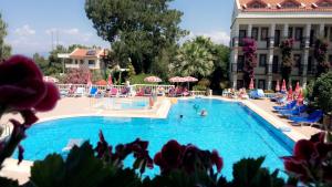 Piscine de l'établissement Hotel Leytur ou située à proximité