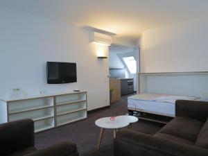 TV a/nebo společenská místnost v ubytování Comfor Hotel Ulm City