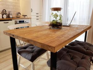 Kuchnia lub aneks kuchenny w obiekcie Sea Apartment 150m do morza