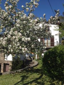 Zahrada ubytování Il Ghiro B&B