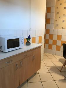 een keuken met een magnetron op een aanrecht bij Studio Lora RM 1221 in Saint-Louis