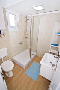een badkamer met een douche, een toilet en een wastafel bij Apartment Obratov in Tisno
